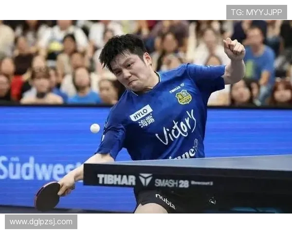 樊振东缺席团体世乒赛可能性较小