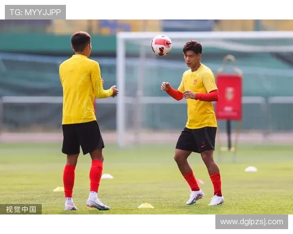 杜埃背部不适恐缺席对哥友谊赛首发 杜埃背部不适恐缺席对哥友谊赛首发